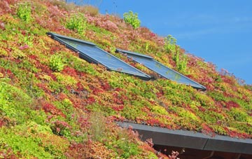St Michaels On Wyre living roof systems