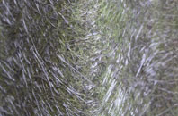 St Michaels On Wyre fibreglass roof work